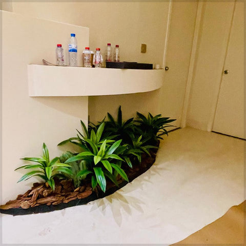 Corner Oasis : Tropical Elegance Indoors for display purposes only (non-sale)