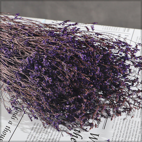 Preserved Flax Flowers