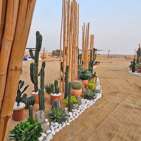 Desert Oasis Gateway to Tranquility for display purposes only (non-sale)