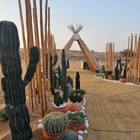 Desert Oasis Gateway to Tranquility for display purposes only (non-sale)