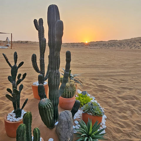 Desert Oasis Gateway to Tranquility for display purposes only (non-sale)