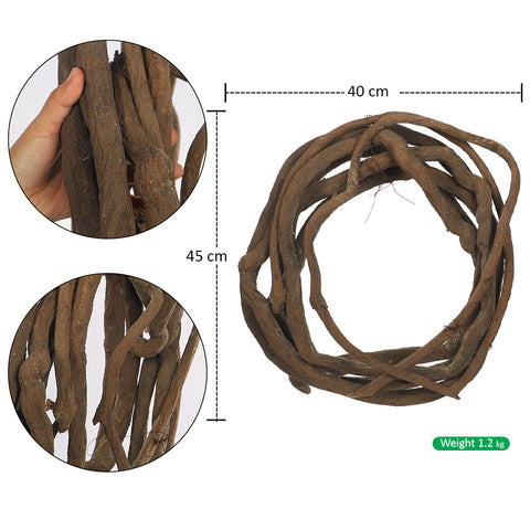 Thick Natural Coiled Vine