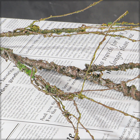 Curly twig for vase