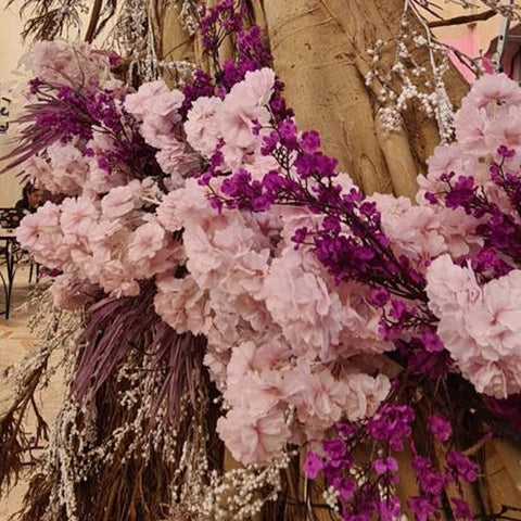 حدث إطلاق المنتج زهرة الديكور