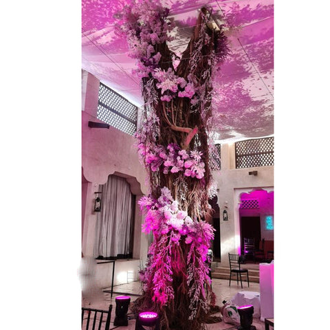 حدث إطلاق المنتج زهرة الديكور