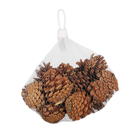 dried pine cones