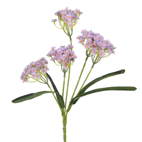 Baby’s breath flower bunch