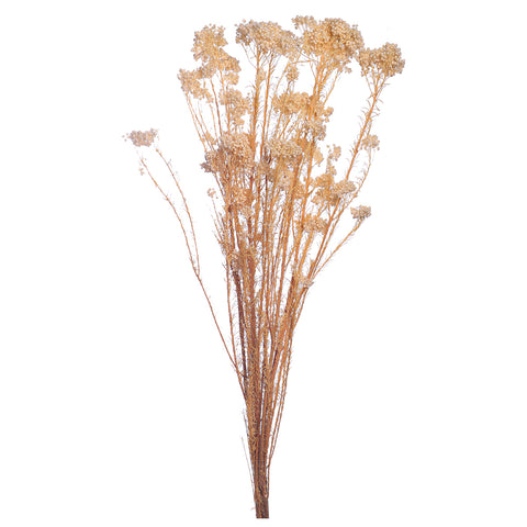 Preserved Rice Flowers