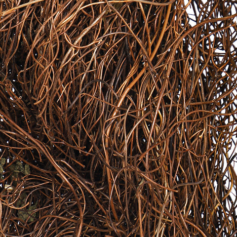 Rustic dried rattan branches