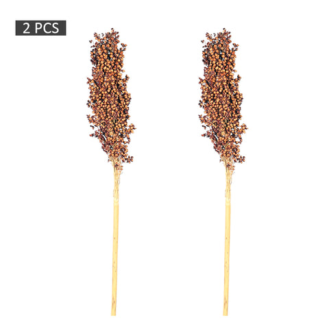 Sorghum dried stems for crafts