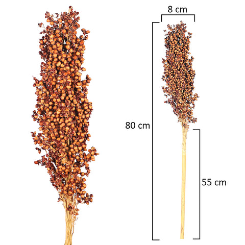 Preserved sorghum flower bunch