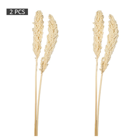 Natural dried sorghum flower