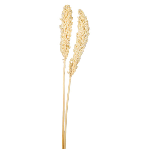 rustic dried flower decor