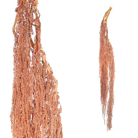 Preserved Dried Hanging Flower
