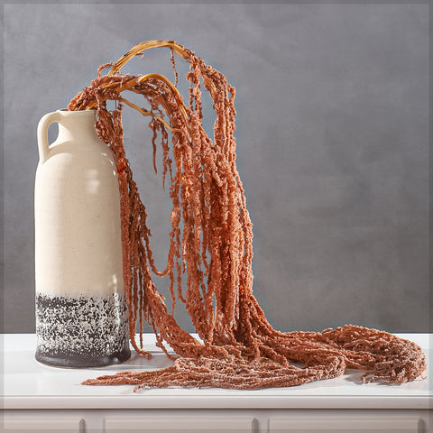 Preserved Dried Hanging Flower