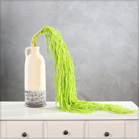 Preserved Dried Hanging Flower(without vase)