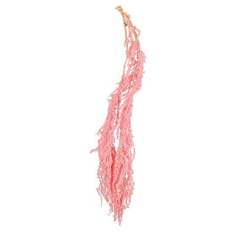 Preserved Dried Hanging Flower(without vase)