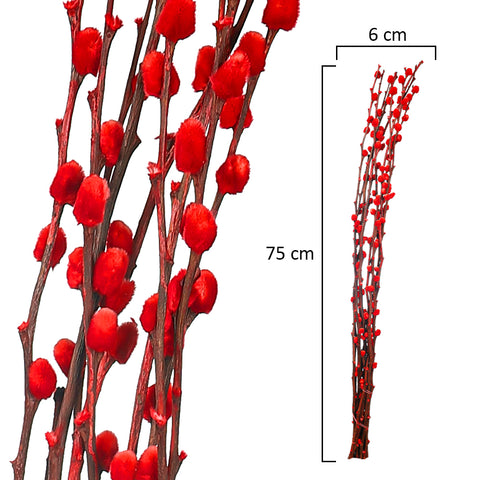 Dried red silver willow