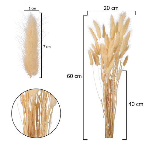 Preserved Dried Bunny Tail(without vase)