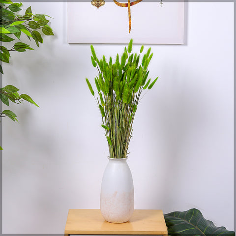 Preserved Dried Bunny Tail(without vase)