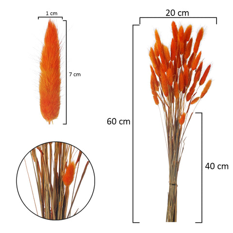 Preserved Dried Bunny Tail(without vase)