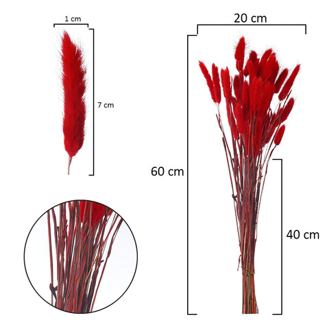 Natural Bunny Tail Pampas