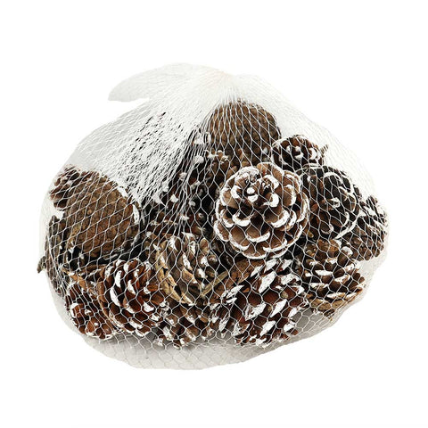 Natural dried pine cones