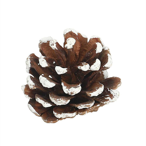 Craft pine cones for DIY