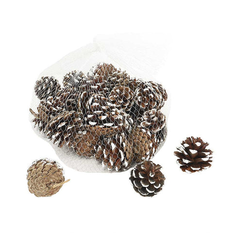 Real pine cones