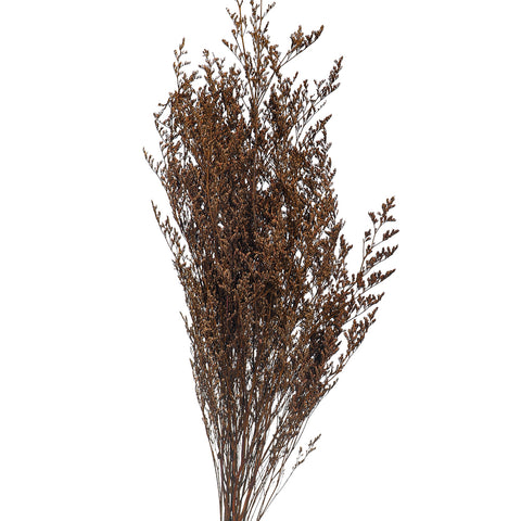 Dried German statice flower