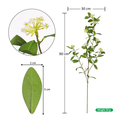 indoor syngonium spray