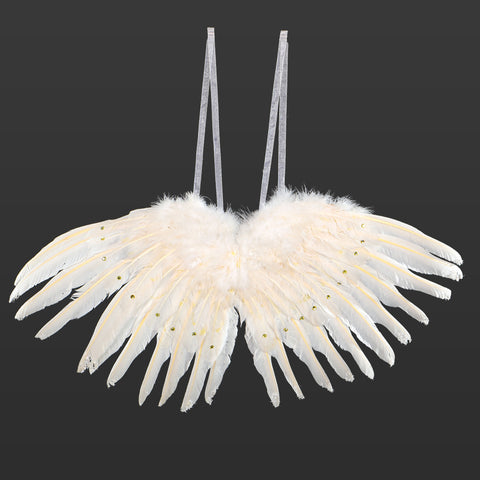 Decorative Real Feather Wings