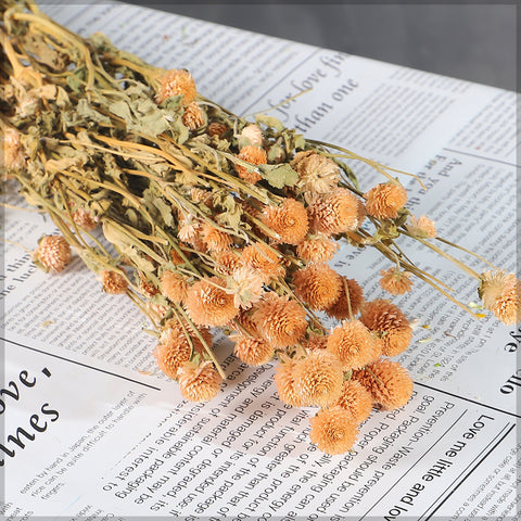 Rustic preserved gomphrena
