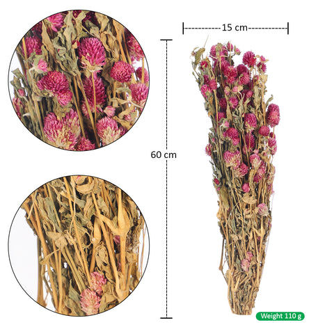 Dried gomphrena stems