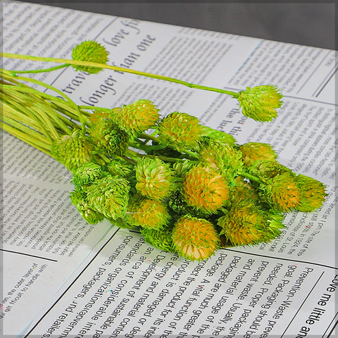 Preserved Dried Bunch of Globe Amaranth