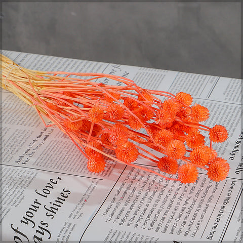 Preserved Dried Bunch of Globe Amaranth
