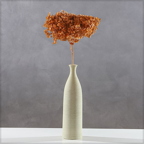 Natural Preserved Dried Hydrangea Flower