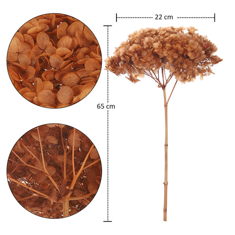 Natural Preserved Dried Hydrangea Flower