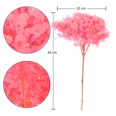 Natural Preserved Dried Hydrangea Flower