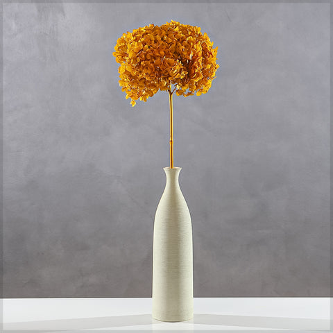 Natural Preserved Dried Hydrangea Flower