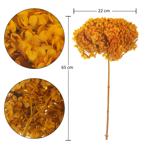 Natural Preserved Dried Hydrangea Flower