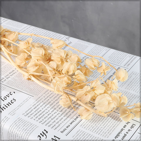 rustic dried flowers