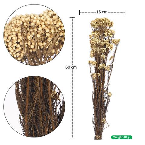 preserved flower stems