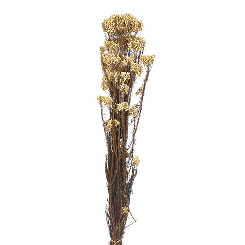 rice flower decor