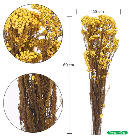 preserved rice flower bunch
