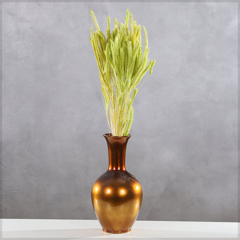 Preserved Dried Setaria Grass Flower
