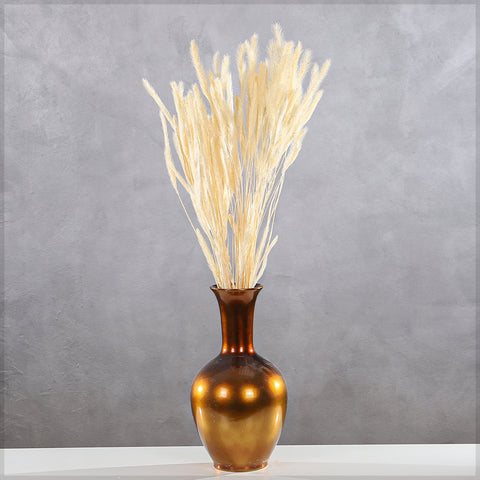 Preserved Dried Setaria Grass Flower