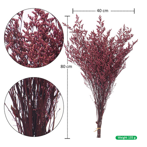 Preserved Dried Caspia Flowers