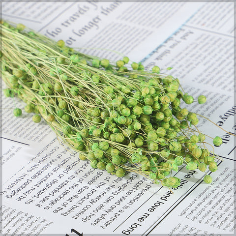 Naturally Dried Linum Grass
