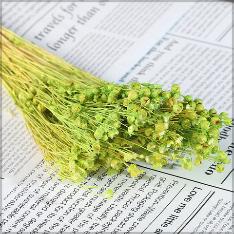 natural grass decor